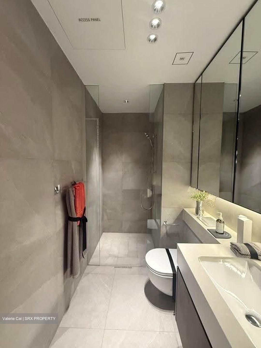 Terra Hill (D5), Apartment #613151221